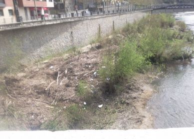 ¿esto es un rio limpio?