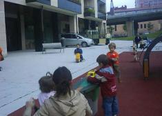 Furgonetas en el parque