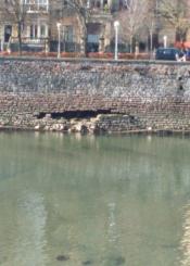 ¿Hasta cuándo durará sin hundirse el paseo?