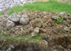 hasta cuendo en compañía de escombro y ratas?