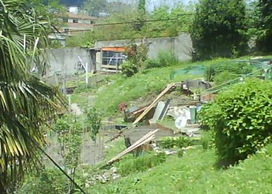 Huertas Ilegales y maltrato a animales