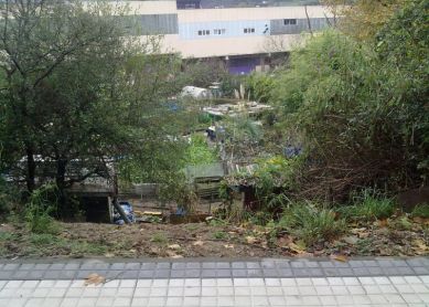 HUERTAS IMPROVISADAS EN AVDA. PUIANA