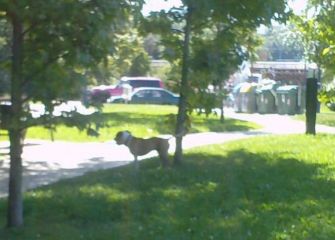 Incumplimiento de la normativa PPP en Fanderia