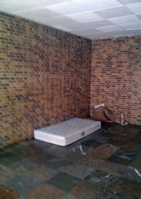 Inquilino permanente