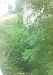 INUNDACIONES OKENDOTEGI