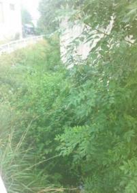 INUNDACIONES OKENDOTEGI