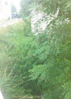 INUNDACIONES OKENDOTEGI