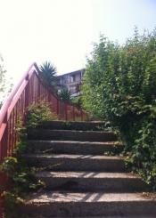 ITXAS AURRE ABANDONADO