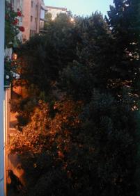 jardines en total abandono