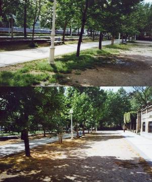 Otros en Donostia-San Sebastián