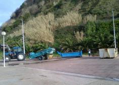 La Cesta De Los Restos