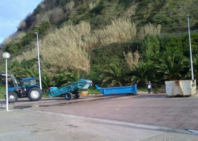 La Cesta De Los Restos