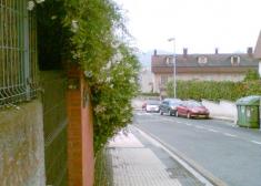 La invasión de los jardines privados