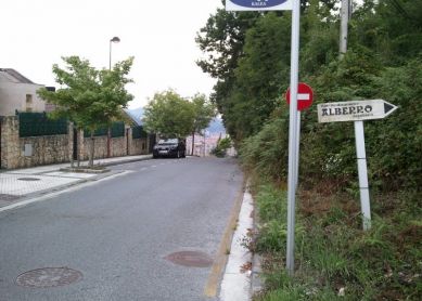 La maleza invade la carretera.