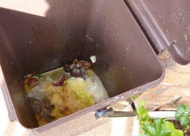 La recogida puerta a puerta Uno de los problemas