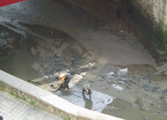 La ría de Pasaia