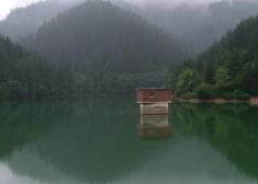 LA SELVA DE AIXOLA : DESIDIA TOTAL