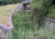 La 'selva' de la regata de Ubitxa