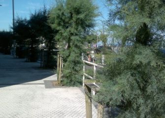 La selva en Donostia