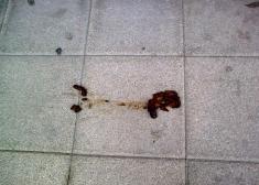 Las mierdas de los perros y los cerdos de sus dueños.