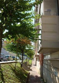 Las ramas hasta la cocina