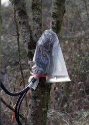 Las verguenzas de telefonica