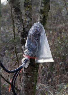 Las verguenzas de telefonica