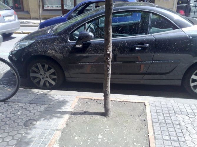 Otros en Donostia-San Sebastián