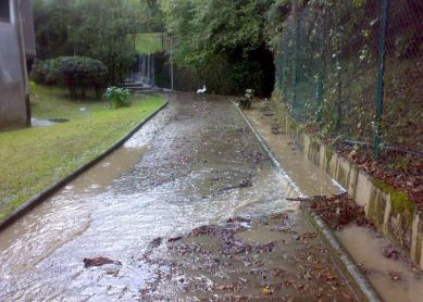 lo de siempre cuando llueve