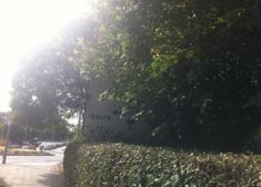 Los arboles impiden ver bosque (mejor dicho la señal)