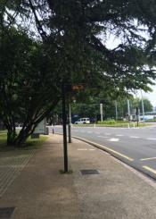 Los paneles de Dbus no se ven