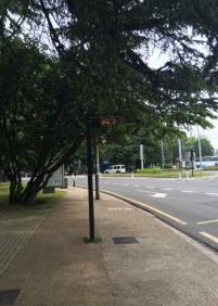 Los paneles de Dbus no se ven