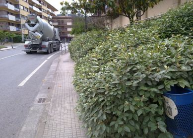 Malas hierbas y Trafico pesado