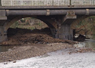 Maleza sin recoger en el río Urumea