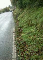 Martutene ibilbideko garbiketa