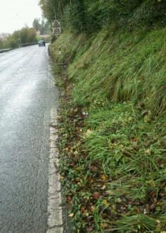 Martutene ibilbideko garbiketa