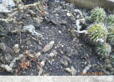 MAS RESPETO POR FAVOR