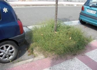 Muchas quejas sobre jaardines ¿'?