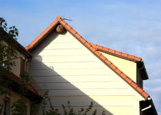 Nido de avispas asiáticas en Intxaurrondo