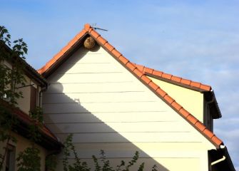 Nido de avispas asiáticas en Intxaurrondo