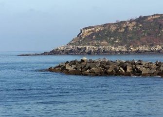 Nido de ratas y..........de RATEROS.