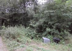 No es suficiente el puerta a puerta de Hernani