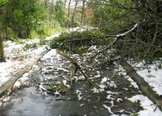 No hay mantenimiento en el nuevo Parque junto al Seminario.