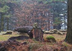 No tienen verguenza.