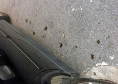 'Obstáculos' en Paseo Larratxo