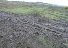 Otras consecuencias del Maro