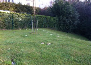 Panfletos y carteles post-huelga