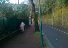 Para cuándo un bus a Ulía?