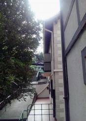 ¿Para cuándo una poda?