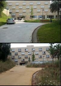 Parque de montpellier